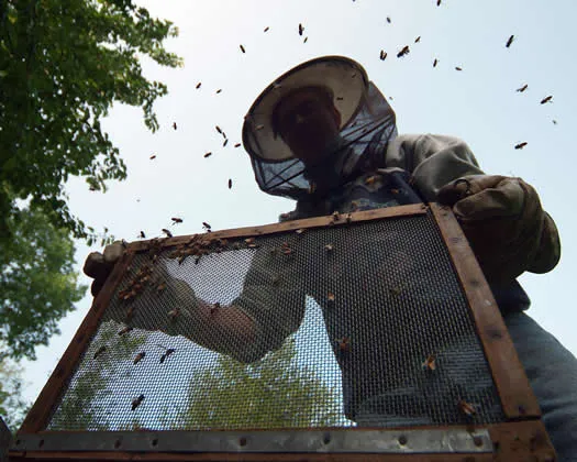 c03iidib6lrcxq8n5iwibgm1u 184376