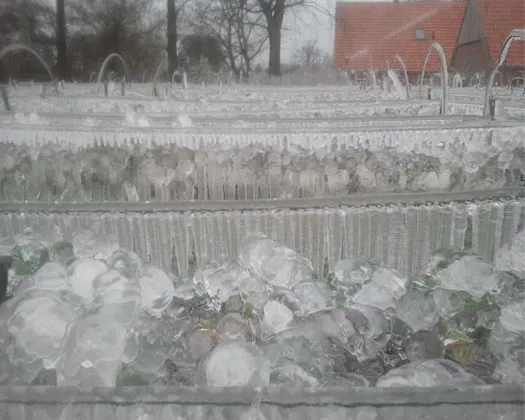 d442rdro1vgotpnxa0rixqb7y 220495