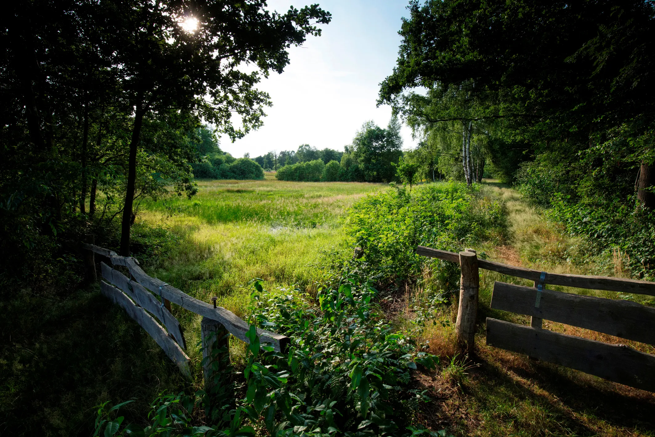 dal van de mosbeek ruud ploeg