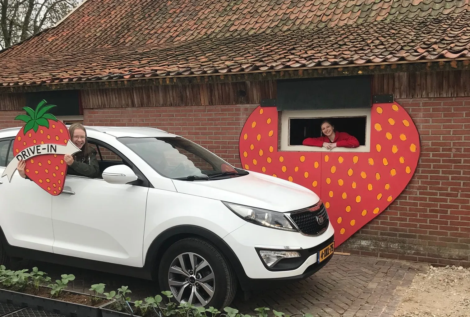 de manderveense aardbei drive in