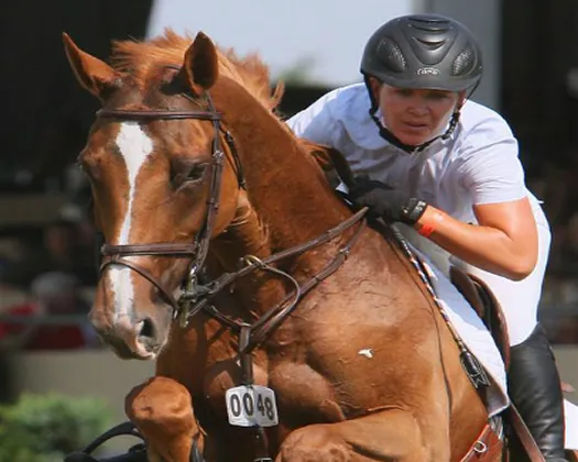 de4r2gsfnazu8sdbiqcl1lumc 150738