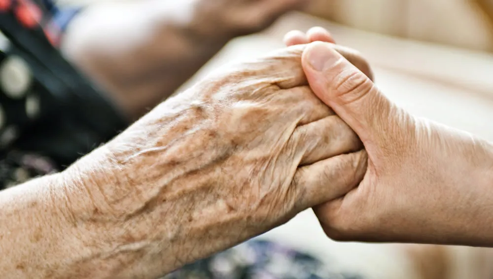 dgcve0ahkr68xif2bnsrb7yml handen