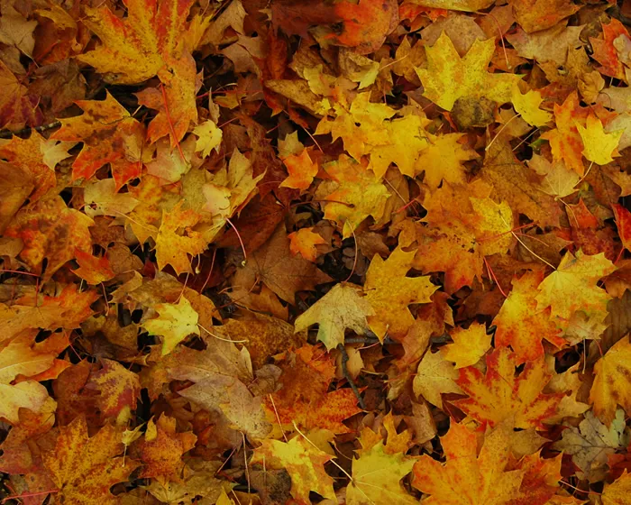 dmf8iqrrrgr9hqjvi3qtvnzth 186641