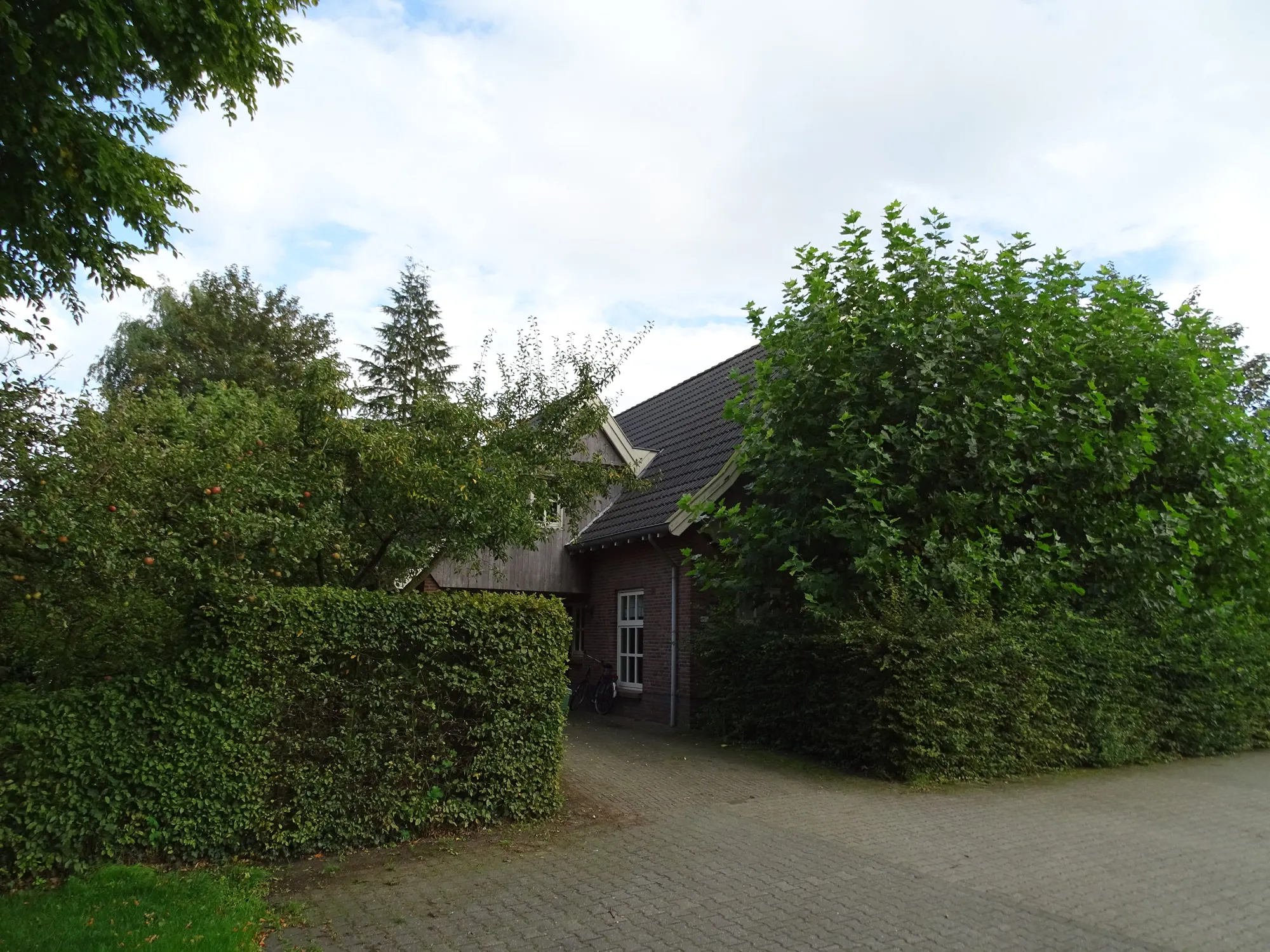 dsc03196