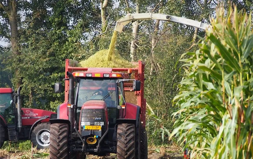 dtf83i4ioiemlvklhu3cl2kl7 maisoogst