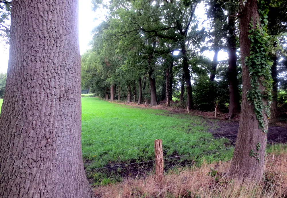 dtgn6crv8g5qnnlsexzol5nby boomrij