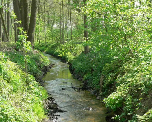 dwzhs41gl8pobmmiz3n9b1typ 176248