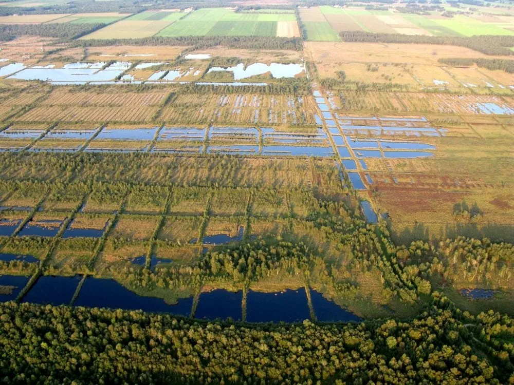 engbertsdijksvenen water