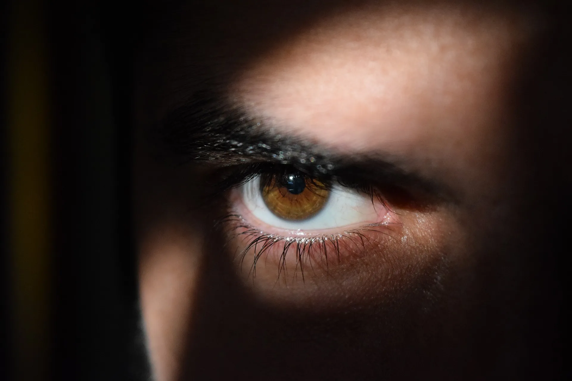 eye g8eb8138dc 1920