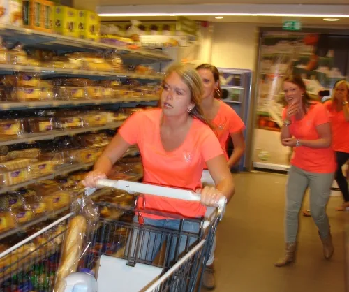 fdshonakwhmqscevihah4y6tl prinssasjes 2