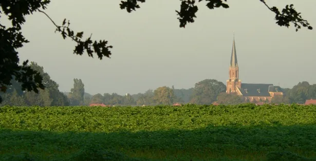 fhabeuta5s3vw2lr67rulxb1q vasse