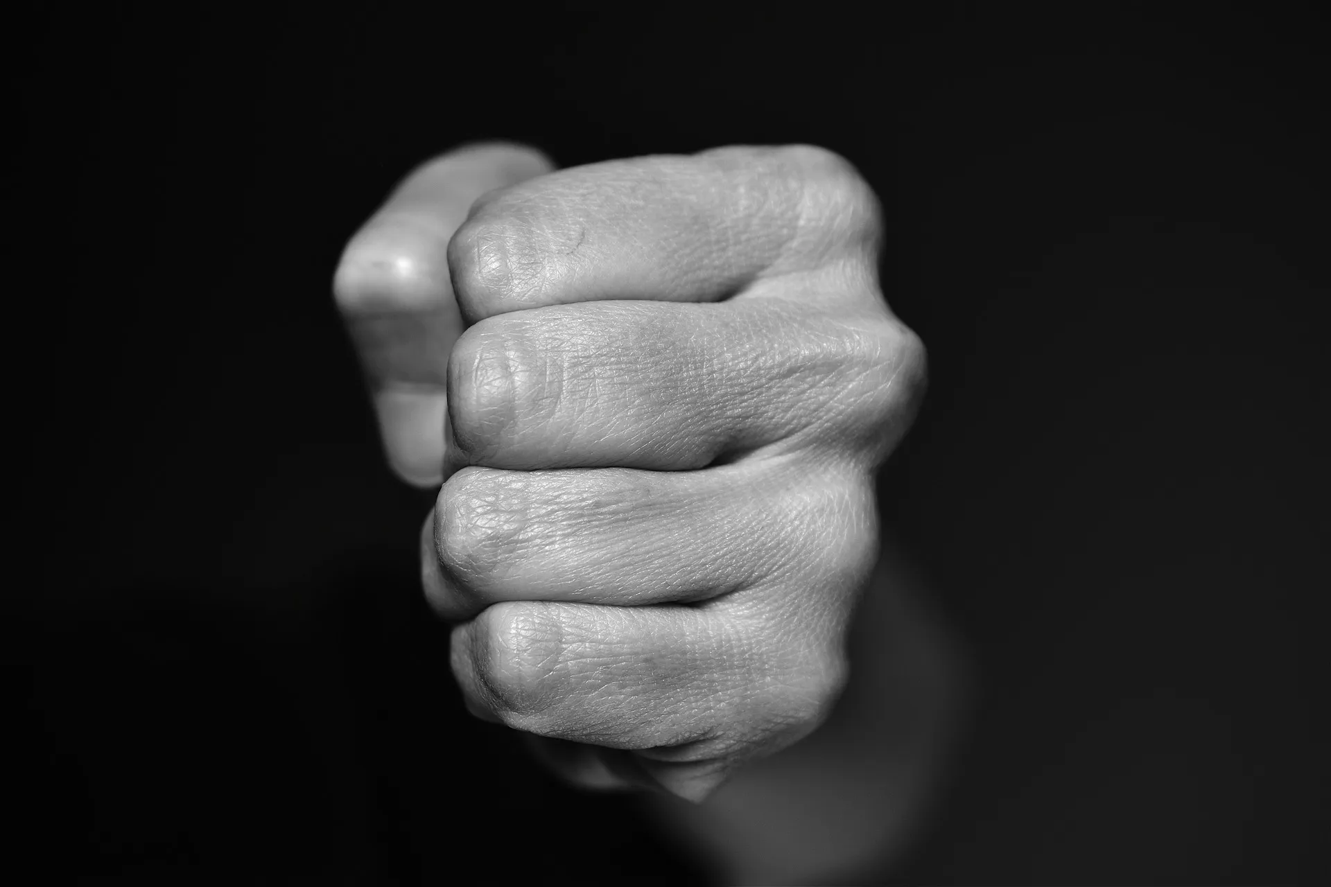 fist 4117726 1920