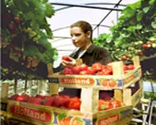 fjyzp65twwmethe6t1cj5sv7s 158935