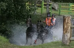 fwsj3i7fz7lg09qzko0yoav45 81688