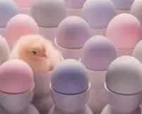 fy5l5zzg3tk14tvlm23jh28uh 132468