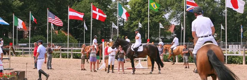 fz3see5xc9pw2c5rwyqrnlwjg 6 13