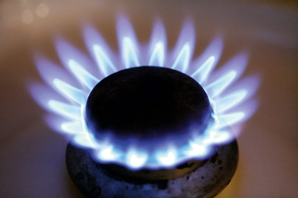 gaspitje