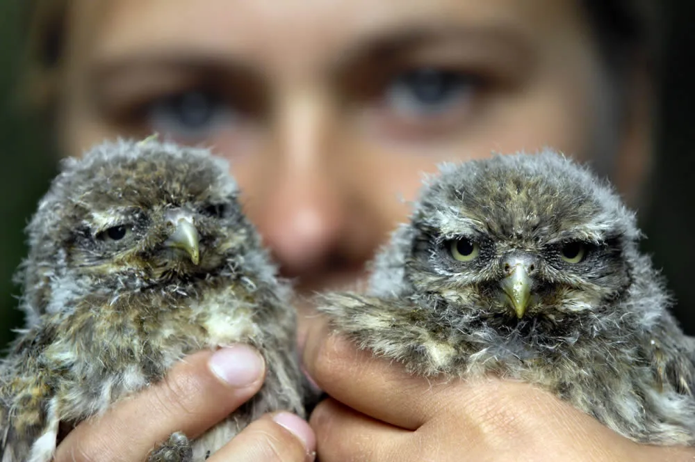 gww53h6veaxu5dwc0051k5kwr steenuil alex de haan