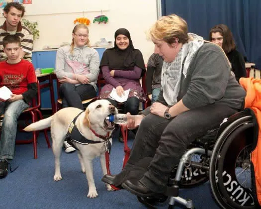 h6gucf0v7kxm0n7xkuajbfi8o 113220