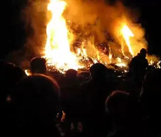 hc91gngl88w9df36c77e8m4tc 124309