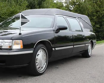 hgfczztpg7o0bsiwv69v5pn85 149342