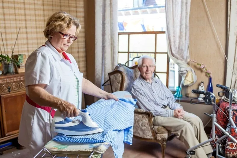 huishoudelijke hulp friese wouden