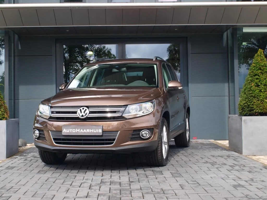 ibj7yhpqpv8vi6rit3a4xb3tc 1 11