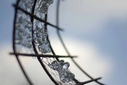 ieorf1vl6wbsd4014ftbkzt5v tubbergen0810082