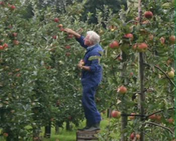 ififcte76sfvigrtx9bclnw2y 173537