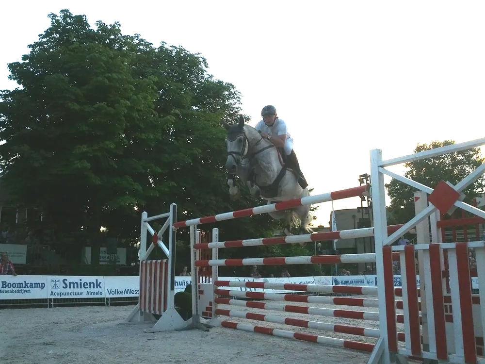 ig6d9e5jjpb0n1dstd6frmjzy 2013 08 03 20