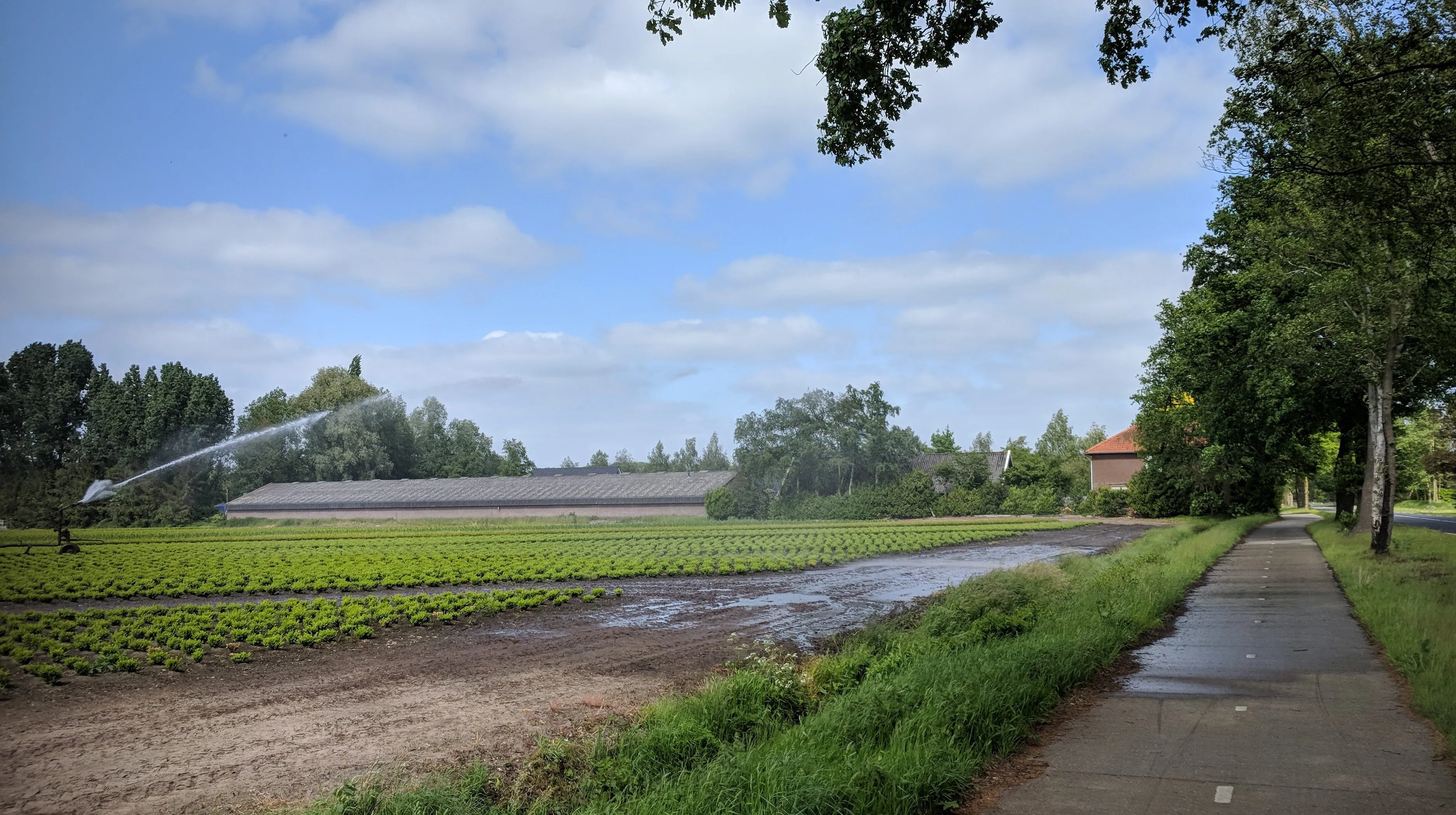 img 20180517 160143 e1526571564397