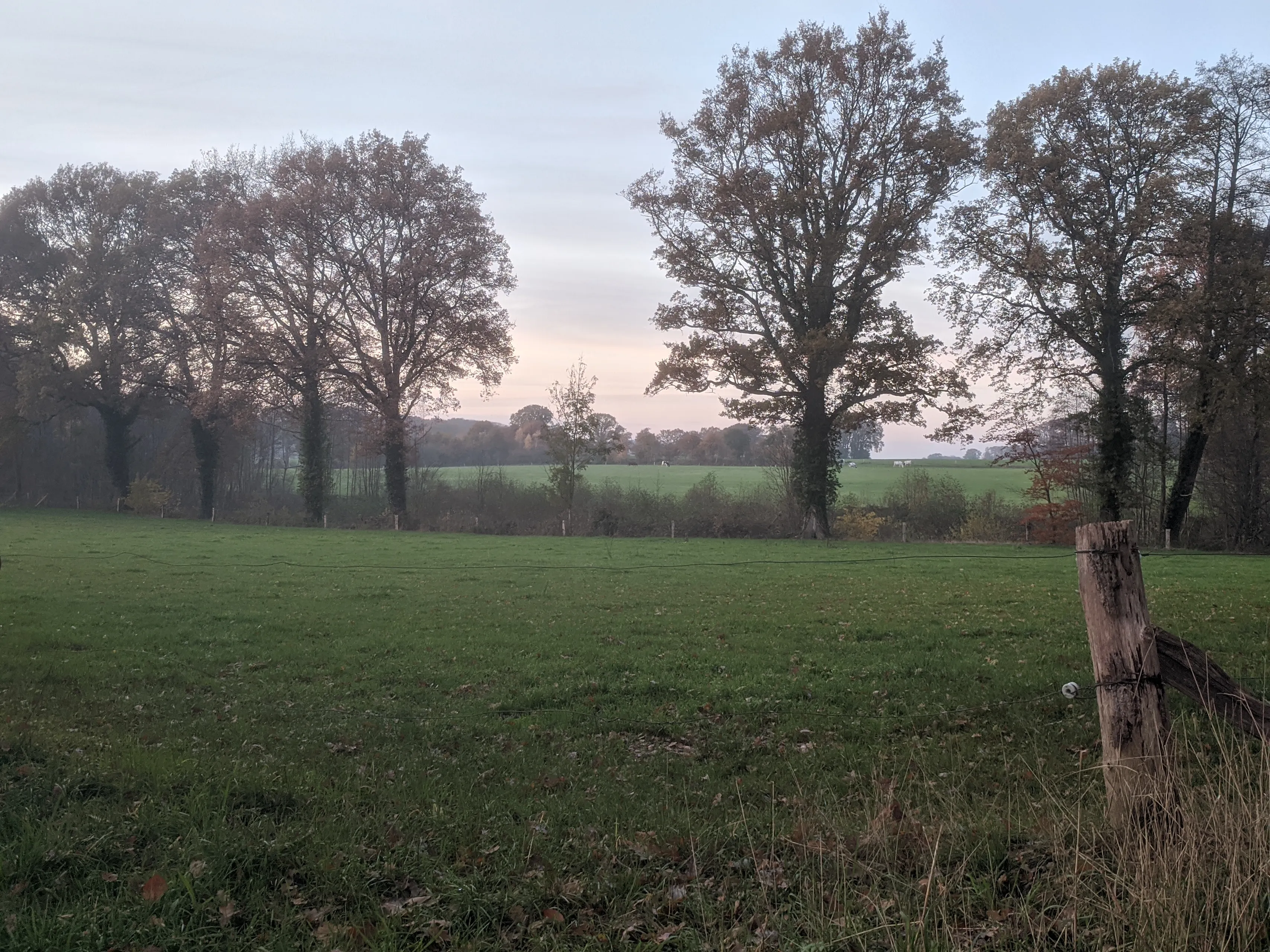 img 20191122 162121