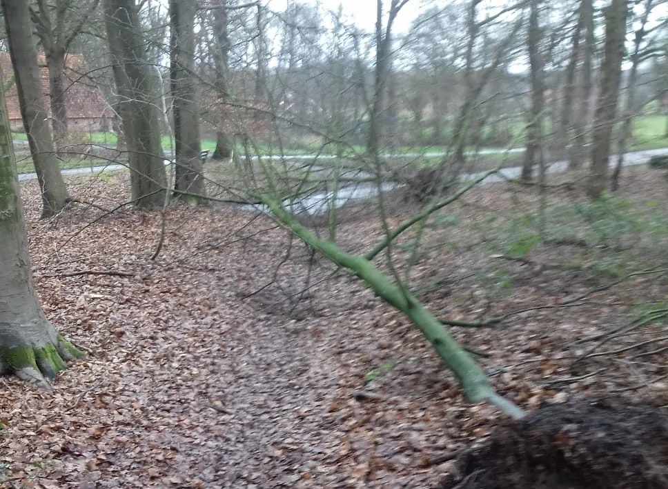 img 20200207 wa0001 e1581328781989