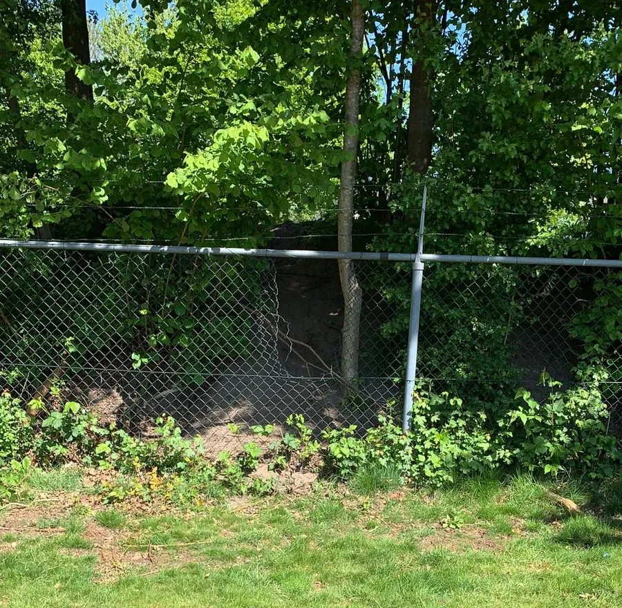 img 20200506 wa0002 e1588778182243