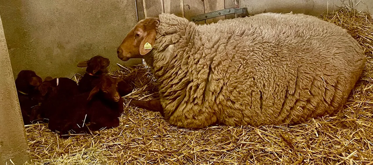 img 2024 04 07 102301