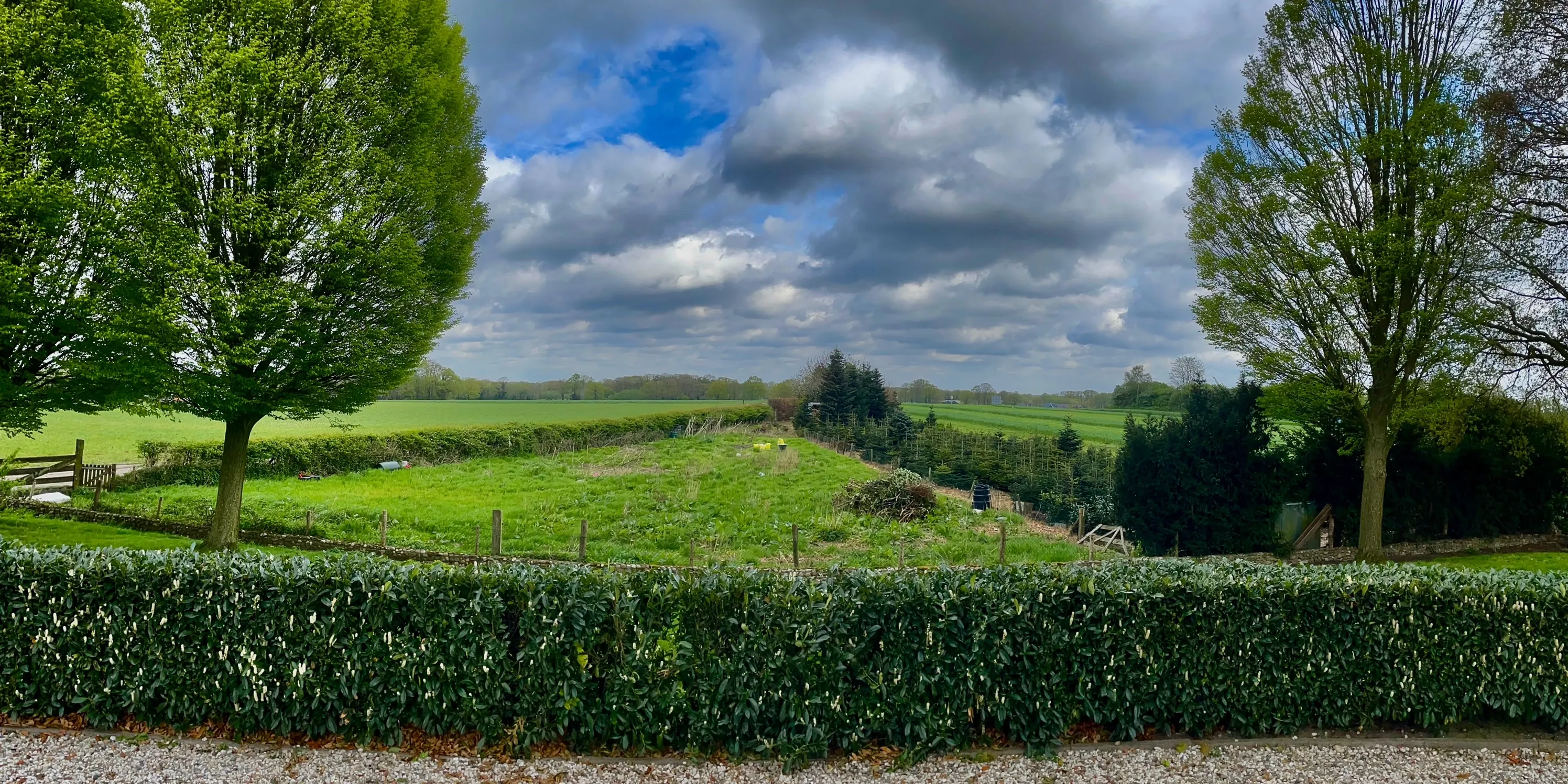 img 2024 04 15 112543