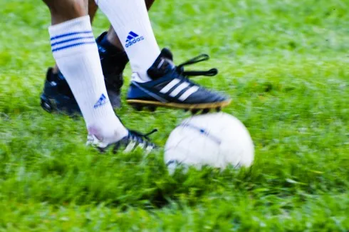 izrashhxp0h5xbd3vzt93aut2 109676