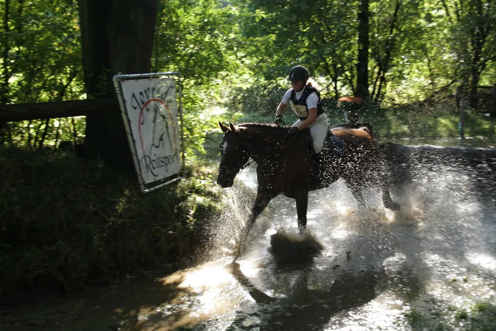 j83yuy84swwrzmoz6ute829k1 foto 218