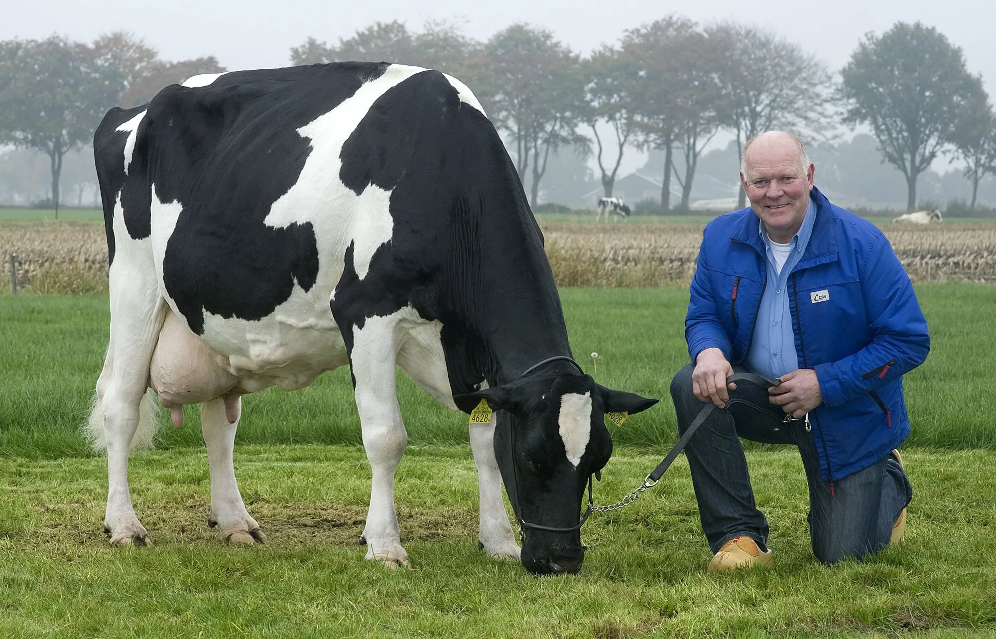 jos knoef met boukje 192