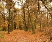 l0uzjcecmpap0rcpexiurujf1 84602