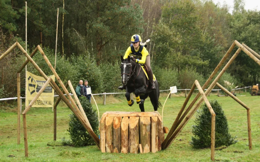 l0v8xjizqbri5b1t9gvq95lxw img6658