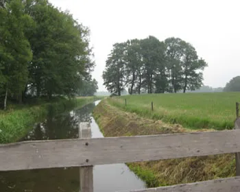 l2e7wyexktbhlgdqatd8p8xog 85386