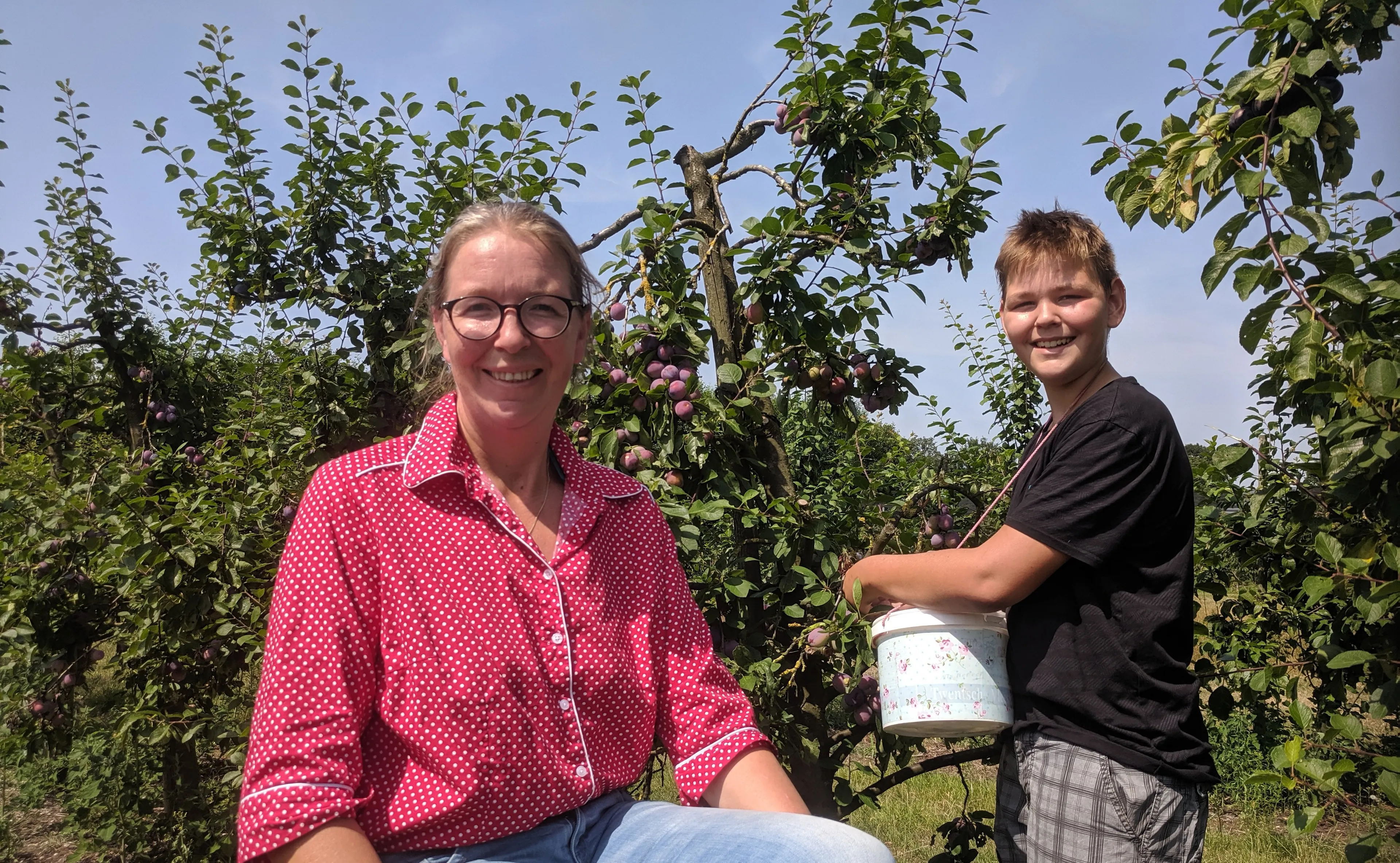 land van maas en webbink
