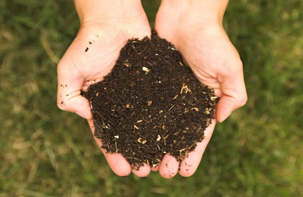 lkta9s84id6x2wlvbmgplob50 compost