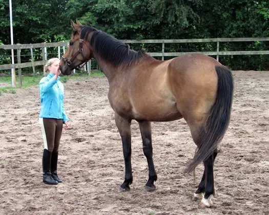 lv8px801cikvkfxz41r059gsg 139811