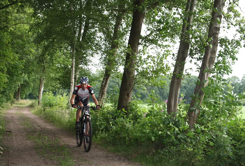 m7eu4l5ki6a8bxm56hcuiya4z img4273