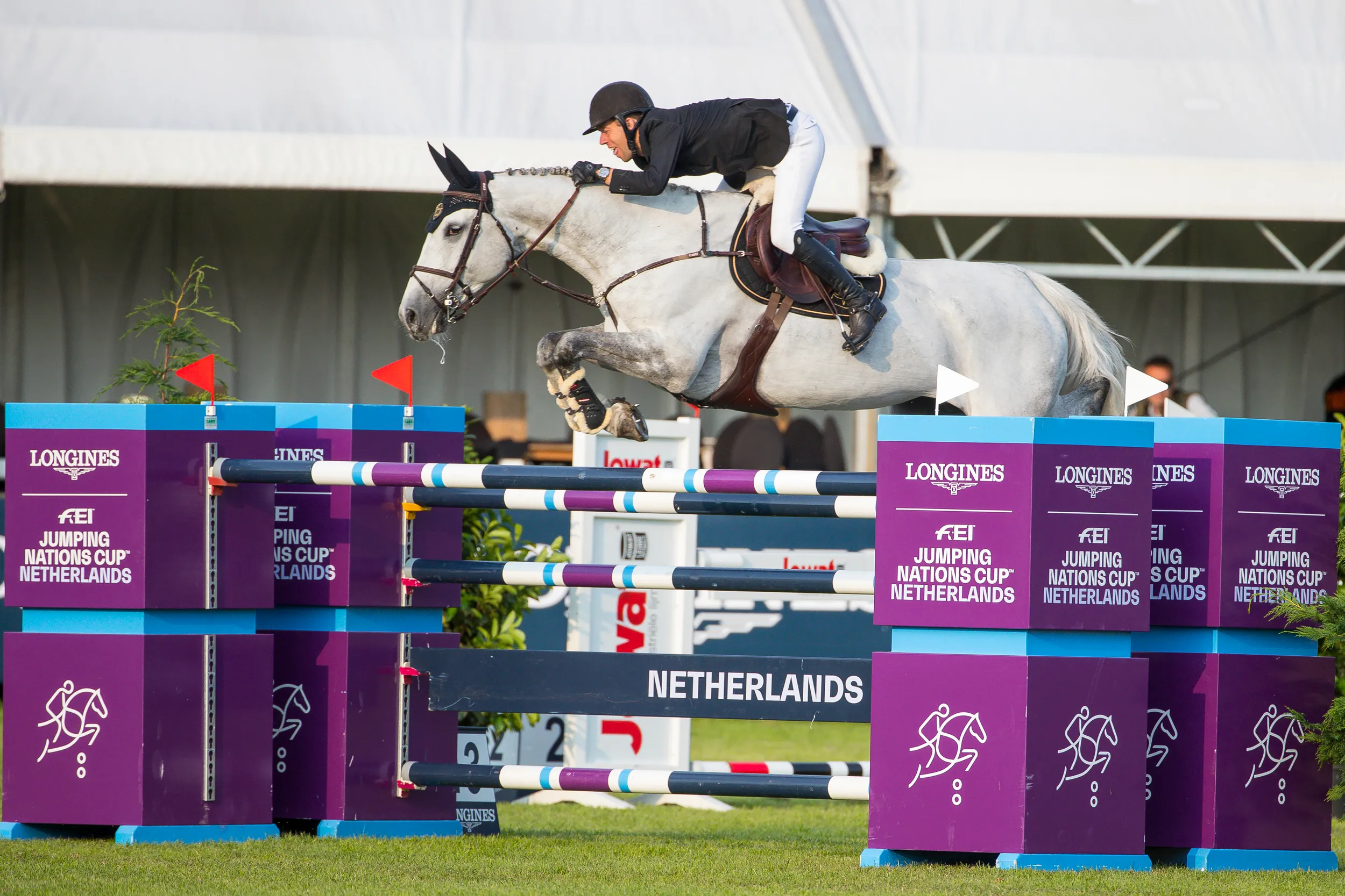 maikel van der vleuten dana blue digi 2500