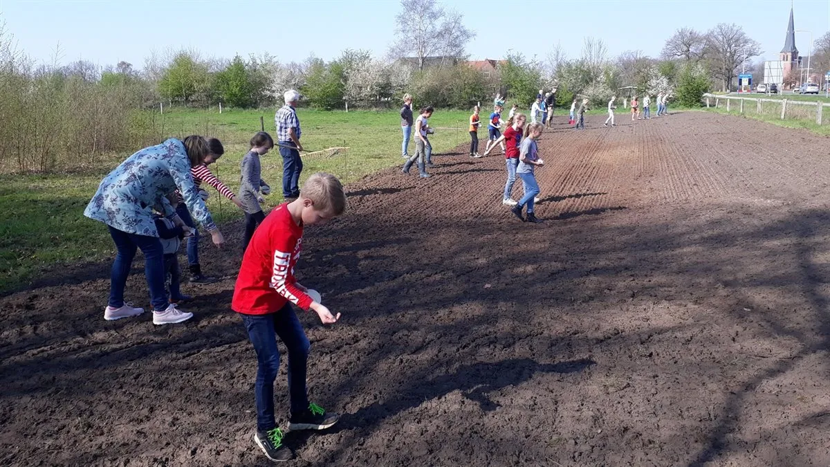 mariaparochie schoolkinderen inzaaien