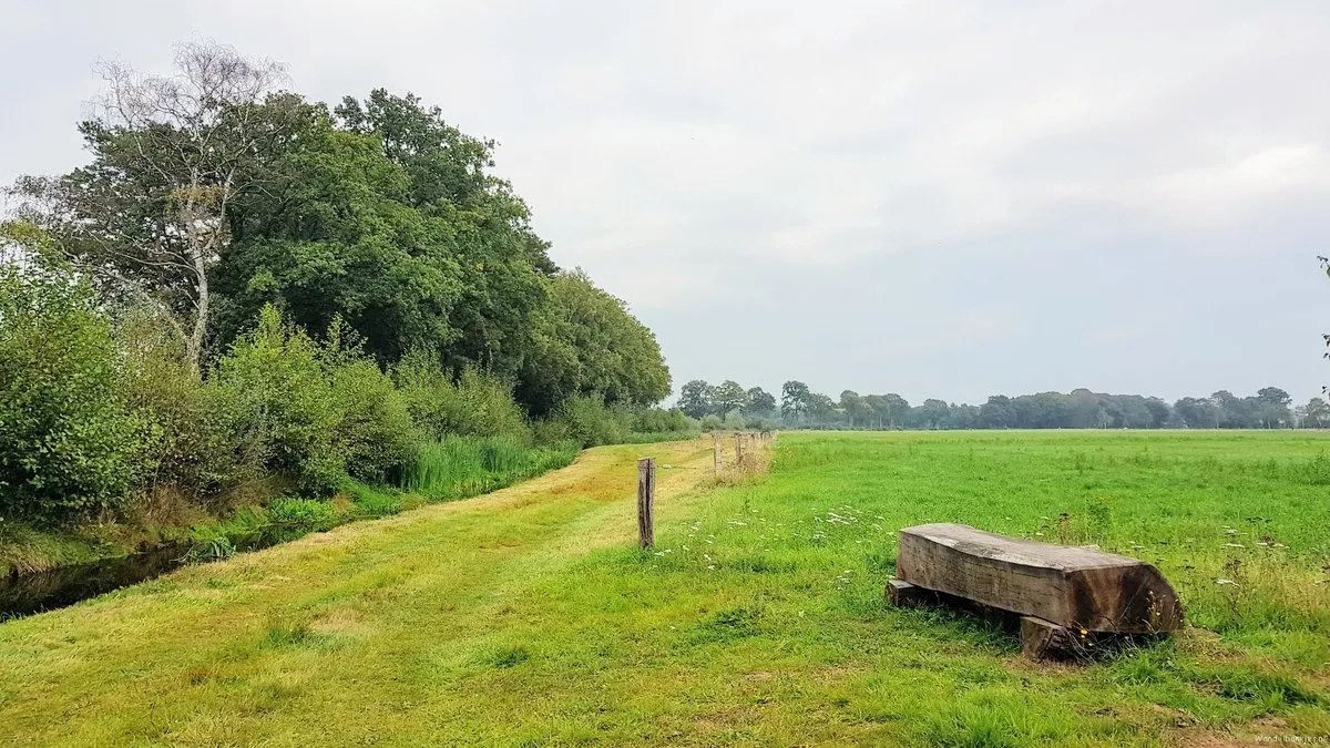 markgraven rob wolfs