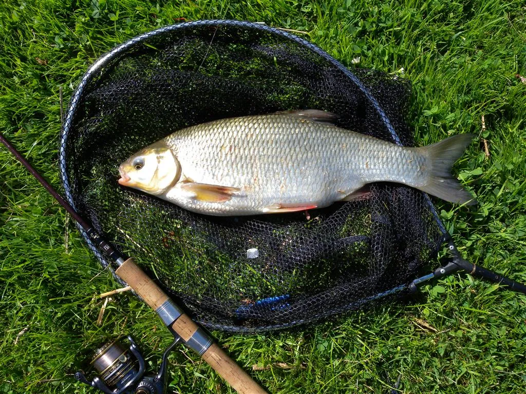 md3hlqie82vxc0kvp1dfsgk7s vis